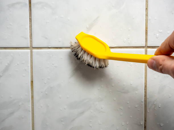 Best DIY Mold Remediation Support Services in Butler, MO