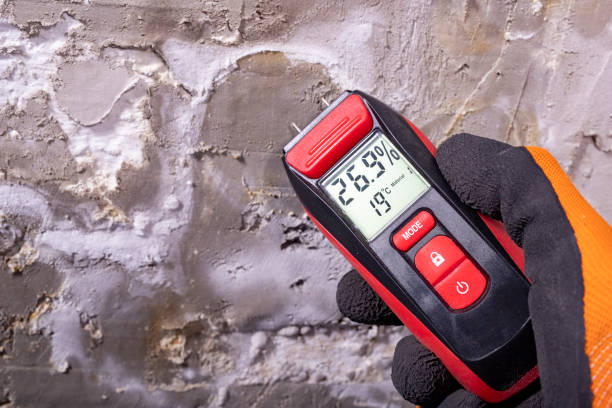 Best Crawl Space Mold Remediation in Butler, MO