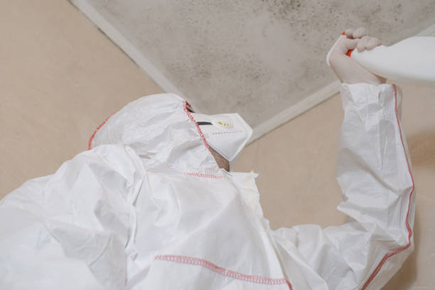 Best HVAC Mold Remediation in Butler, MO